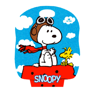 Snoopy - Maleta de livros