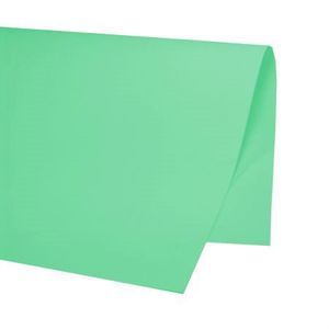 Papel Color Set 48 x 66 cm Verde Claro
