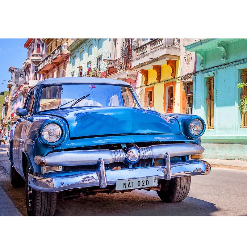 Caracóis pintados cubanos quebra-cabeça em Zoom quebra-cabeças em
