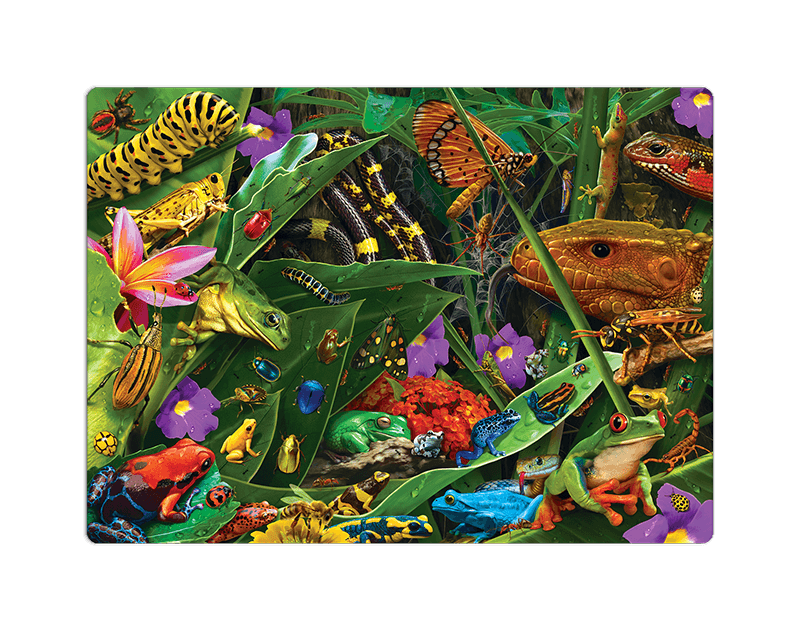 Quebra Cabeça Puzzle 500 Peças Natureza Estranha Bichos Bizarros 2977
